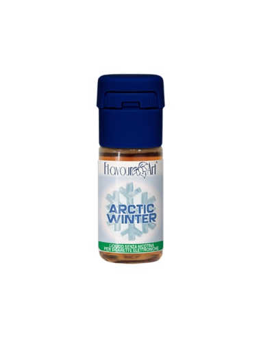 Artic Winter FlavourArt Liquido Pronto 10ml Mentolo Ghiaccio