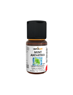 Mint Antarctica Delixia Concentrated Aroma 10ml Mint