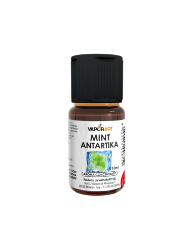 Mint Antarctica Delixia Concentrated Aroma 10ml Mint